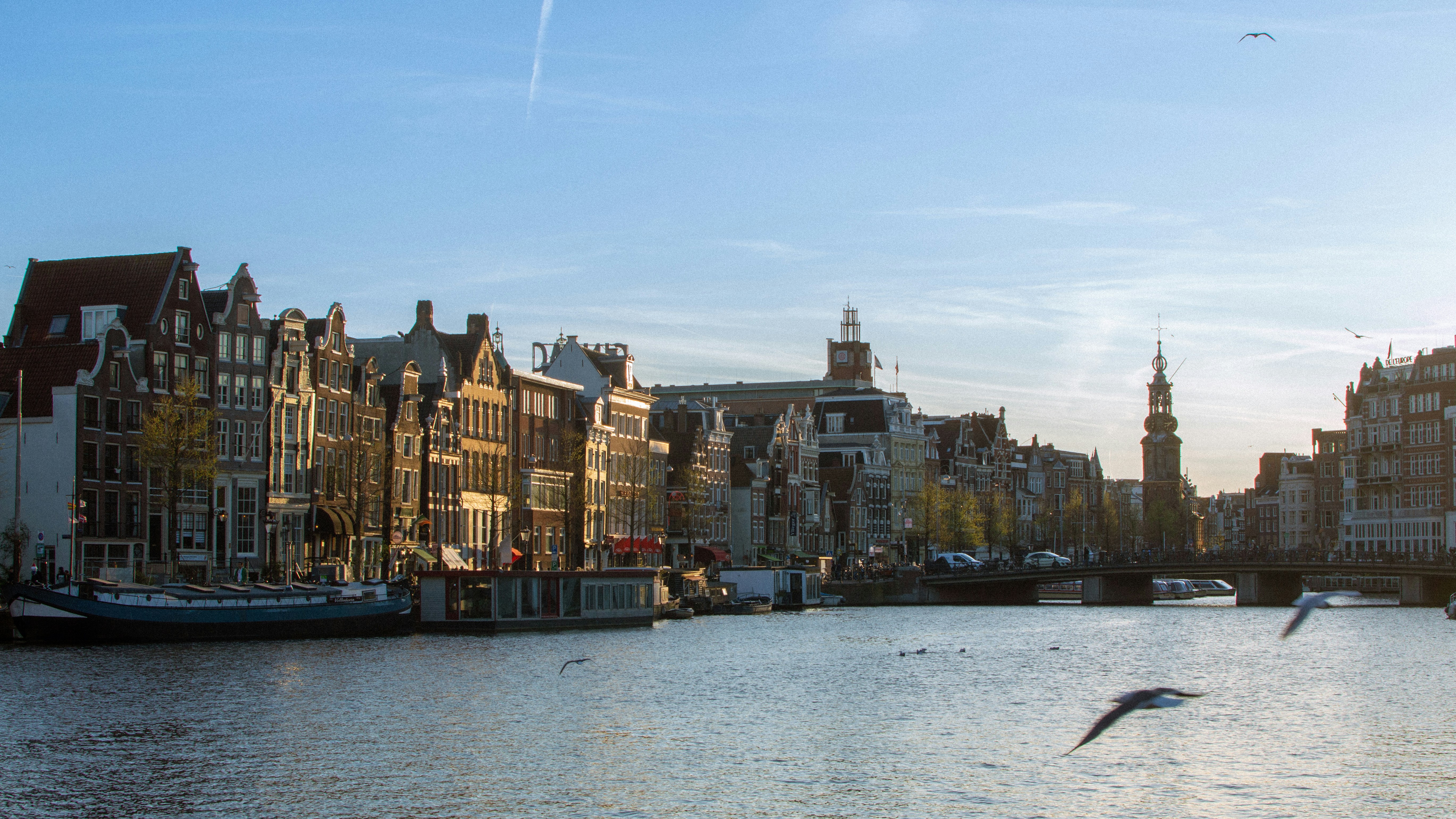 Фестивала на лалетата в Амстердам 2026 (самолетна програма)  